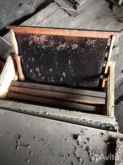 Ящики для транспортировки пчел