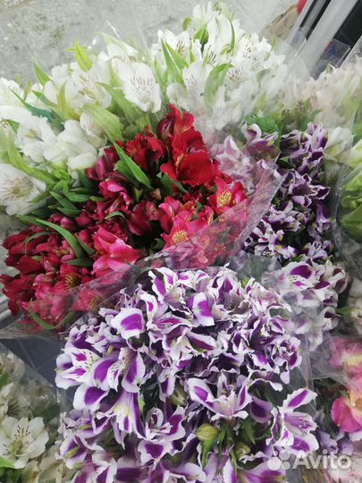 Доставка цветов