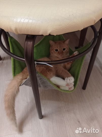 Гамак для кошек
