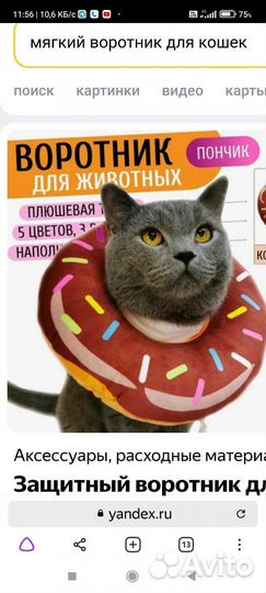 Послеоперационный воротник для кошек и собак