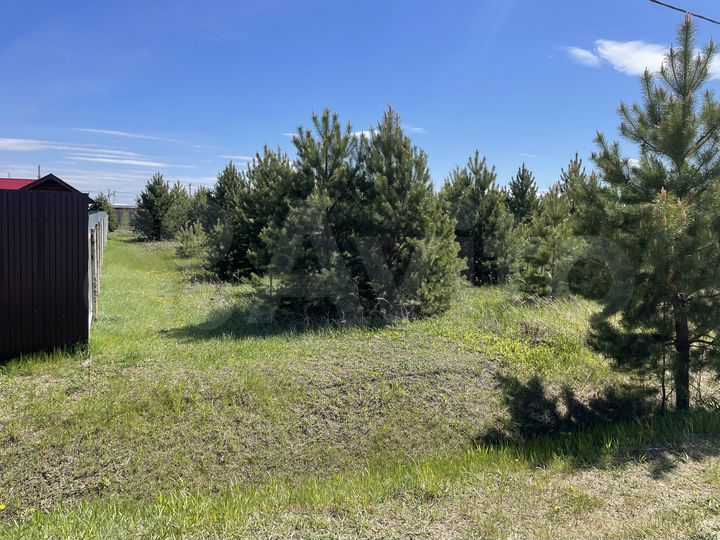 Участок 11 сот. (СНТ, ДНП)