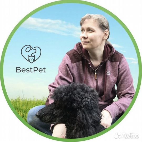 Зоопсихолог, коррекция поведения собак и кошек