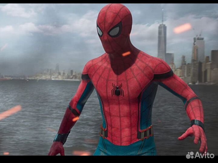 Рашгард мужской Spider-Man 50 (L)