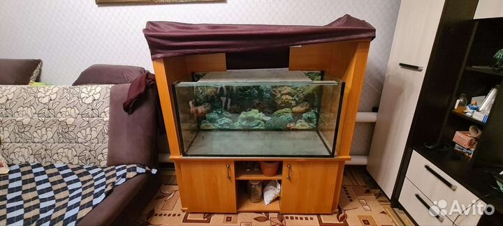 Аквариум на 200 литров с тумбой