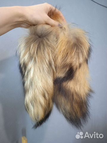 Хвост енота