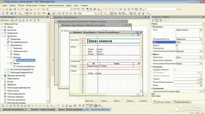 Услуги программиста 1С, WEB разработка
