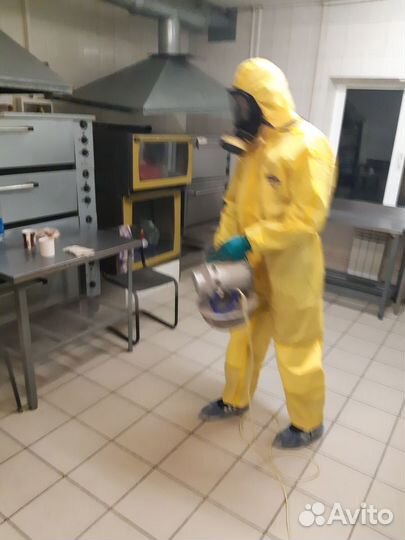 Уничтожение тараканов клопов блох комаров муравьев