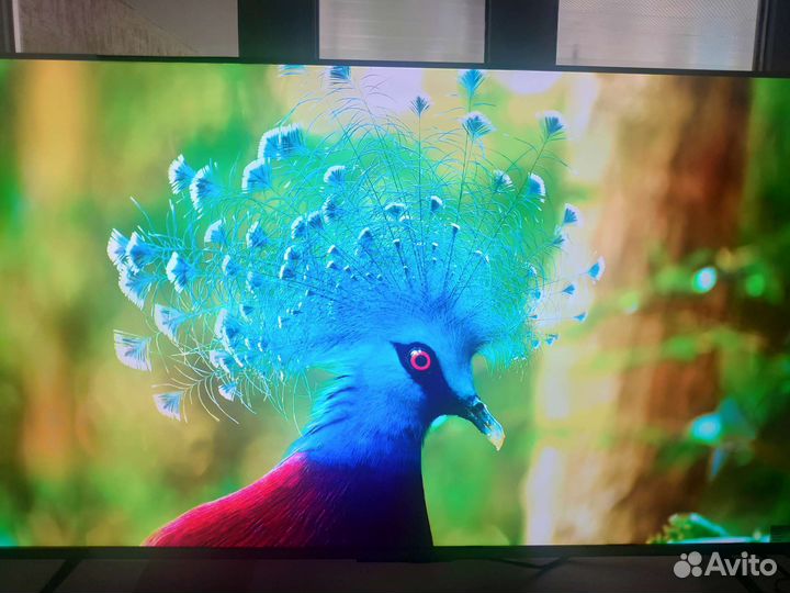 Телевизор xiaomi mi tv 5 pro 55