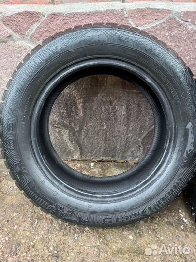 Gislaved Nord Frost 5 205/60 R16