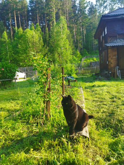 Дача 50 м² на участке 10 сот.