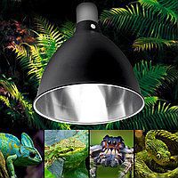 Для рептилий лампы уф,коврики,террариум