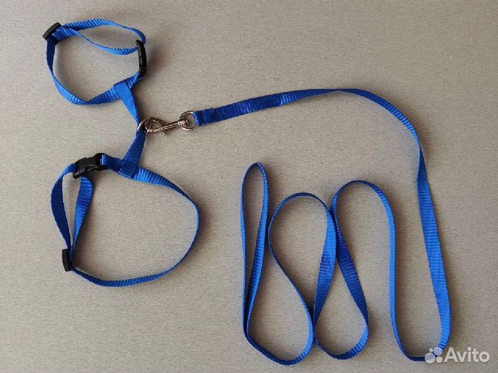 Шлейка для кошки