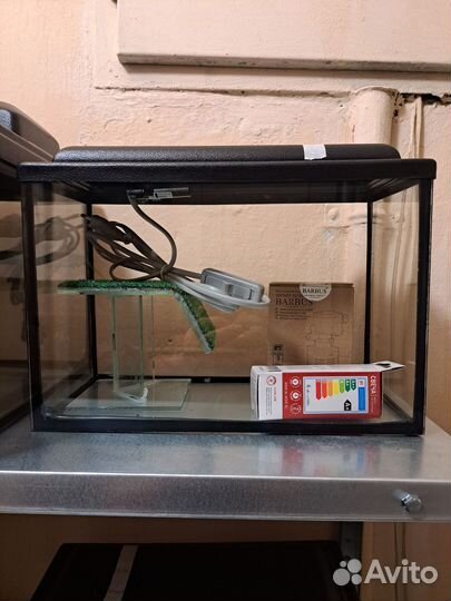 Аквариумы для черепах