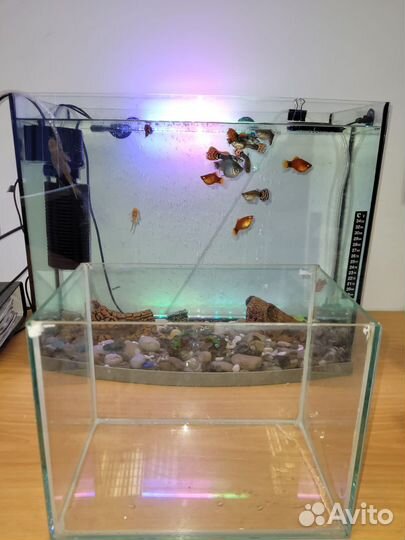 Аквариум с рыбками