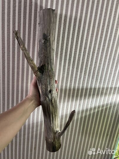 Украшение для аквариума. Коряга