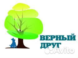 Продавец-консультант в зоомагазин