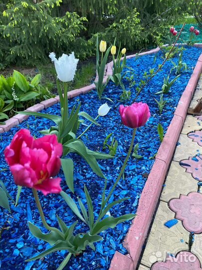 Щепа декоративная от производителя в наличии