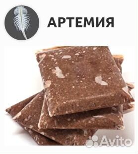 Замороженные корма для рыбок