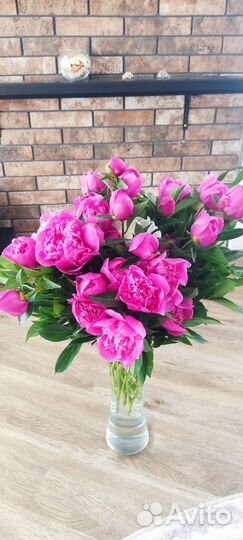 Цветы пионы оптом от 45р.Опт от 250 шт. Самовывоз