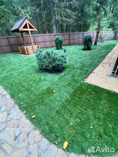 Рулонный газон / под ключ