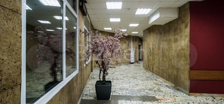 Офисное помещение 383.8 кв.м от собственника