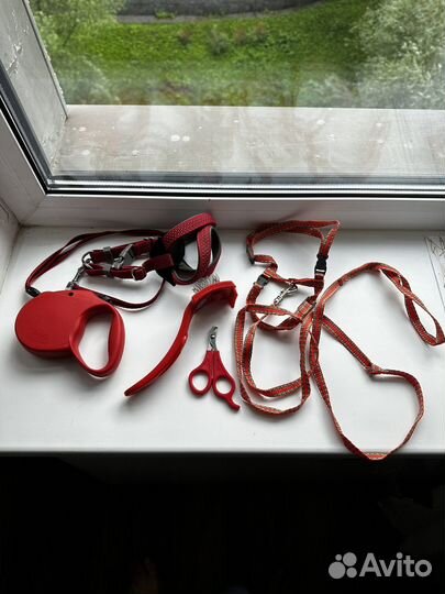 Поводок рулетка и шлейка для мелких пород