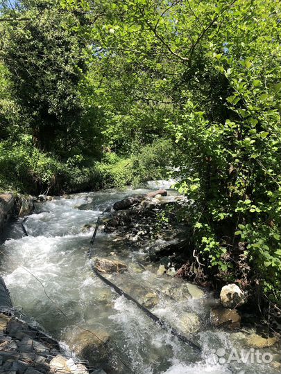 Экскурсия в горы на Роза Хутор