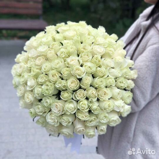 Свежие Цветы Букеты Доставка 15 25 51 101 роза