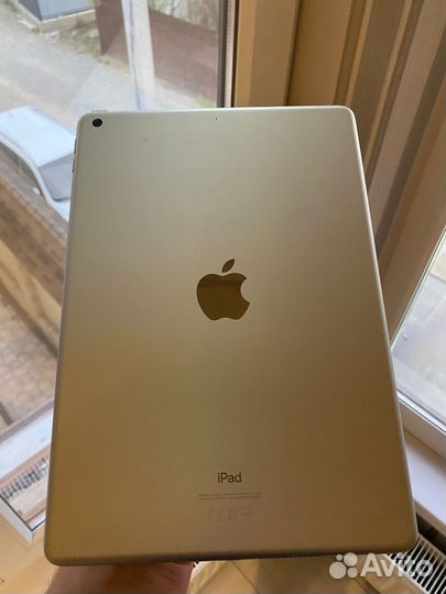iPad