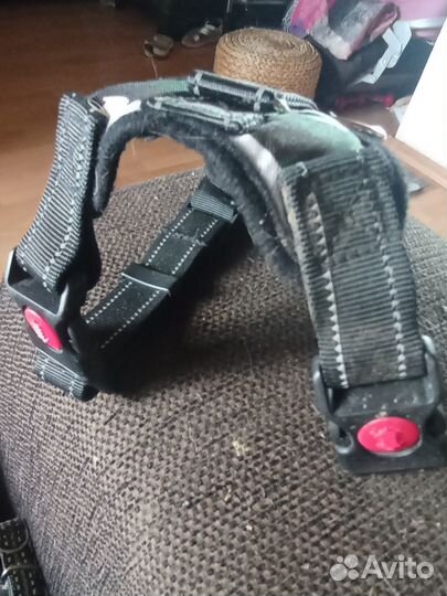 Шлейка для маленькой собаки