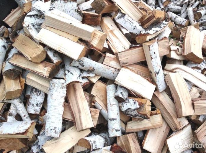 Дрова осина