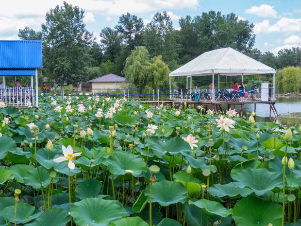 Свободного назначения, 350 м²