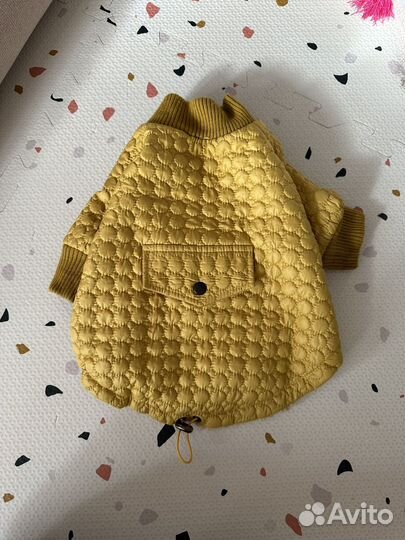 Одежда для собак мелких пород