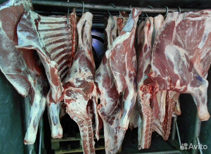 Мясо молодой говядины