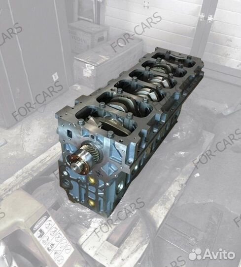 Блок двс Shaanxi Shacman WP12 WP13