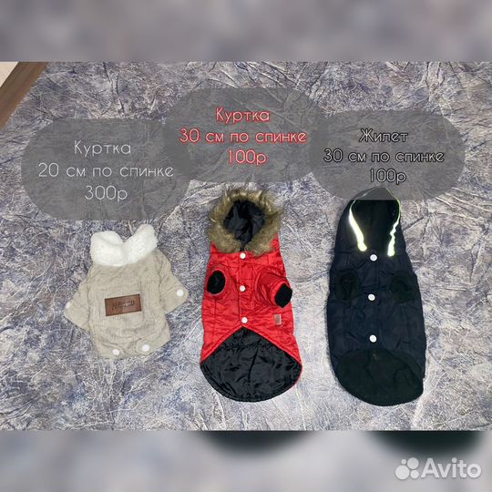 Одежда для собак