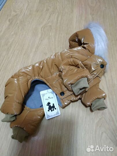 Одежда для собак