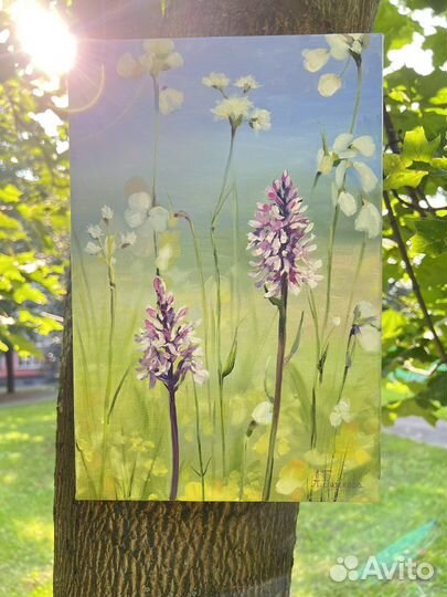 Картина маслом Полевые цветы 30х20, холст