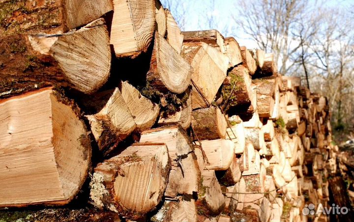 Дрова для бани