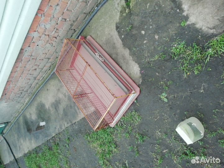 Клетки для перепелов