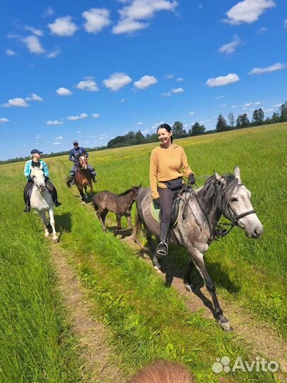 Катание на лошадях
