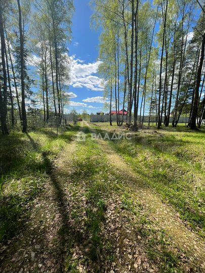 Участок 18 сот. (СНТ, ДНП)