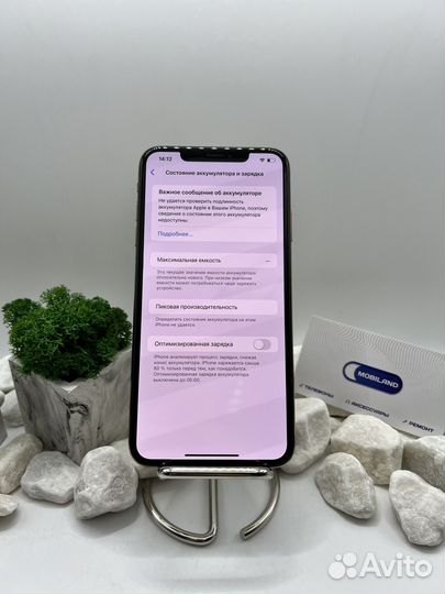 iPhone Xs Max, 256 ГБ