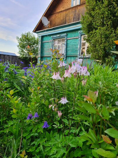 Дом 74 м² на участке 16 сот.