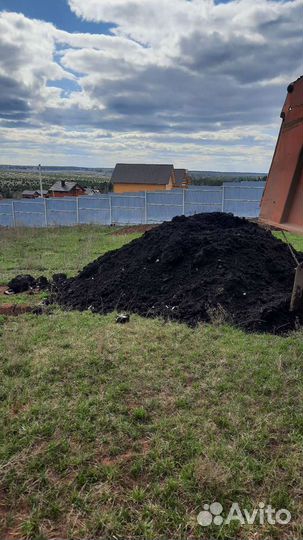 Торф низинный