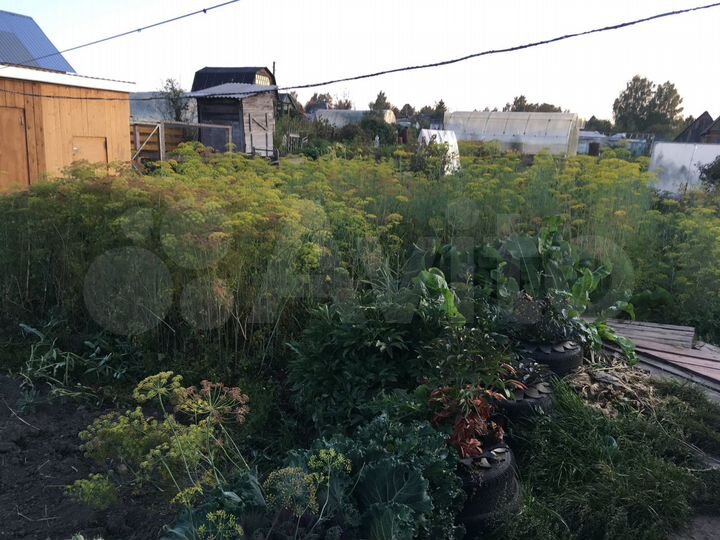 Дача 20 м² на участке 10 сот.