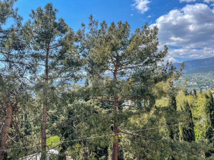 2-к. квартира, 46,8 м², 2/5 эт.