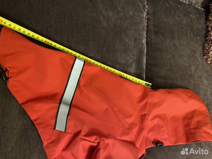 Одежда для собак мелких пород