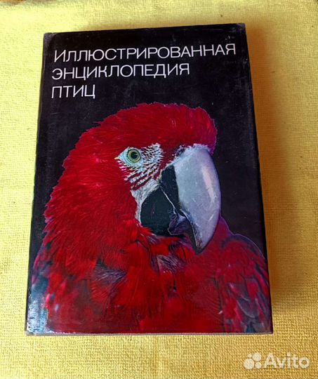 Энциклопедии