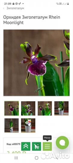 Орхидея